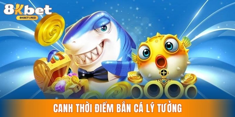 Phương pháp săn cá hiệu quả bằng việc tung đạn